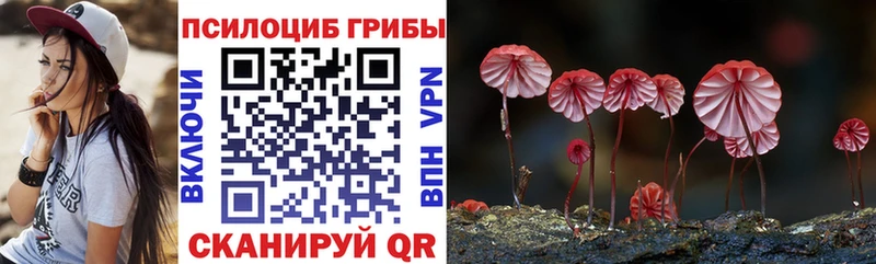 Галлюциногенные грибы прущие грибы  hydra ссылка  Великие Луки 