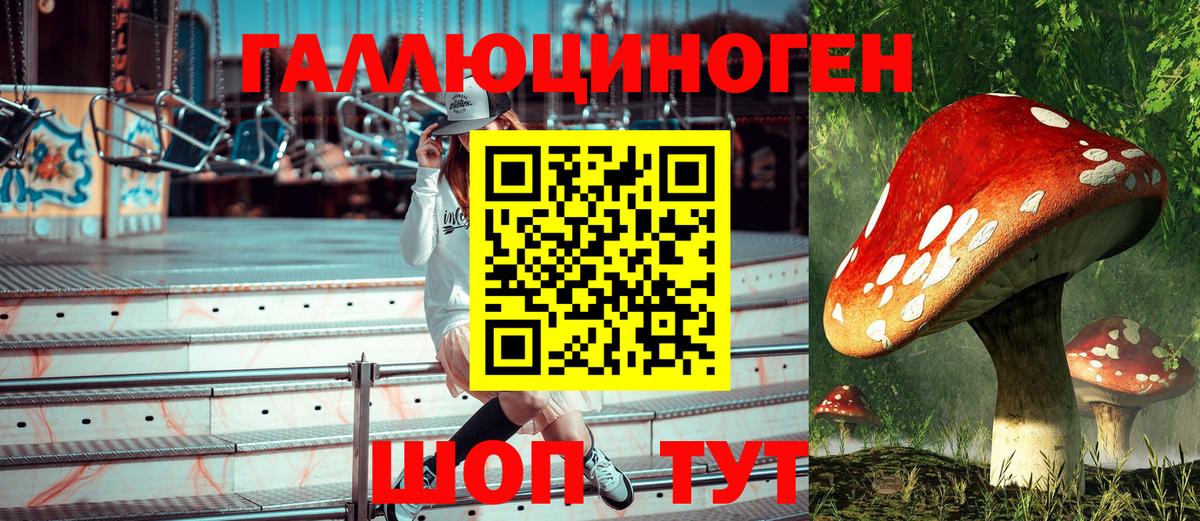 Псилоцибиновые грибы MAGIC MUSHROOMS  Великие Луки 