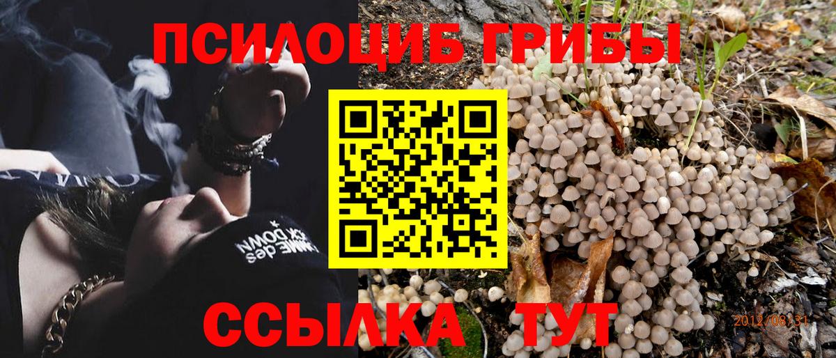 Великие Луки  Галлюциногенные грибы GOLDEN TEACHER  Вход с VPN 